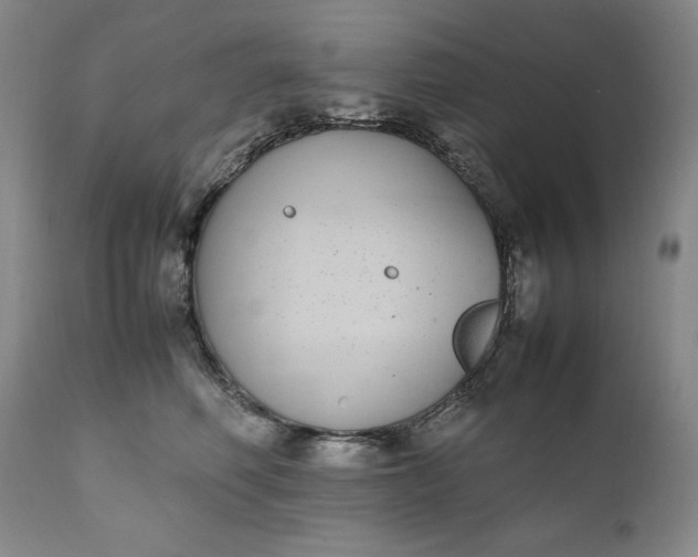 X0000111430614200907271107