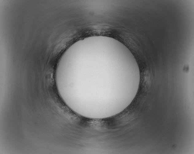 X0000111430615200907271107