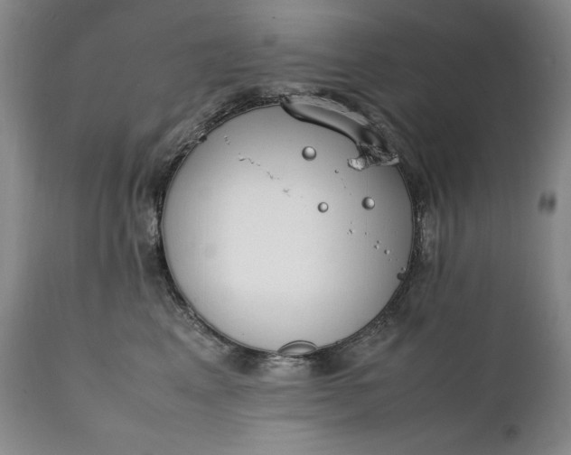 X0000111430617200907271107