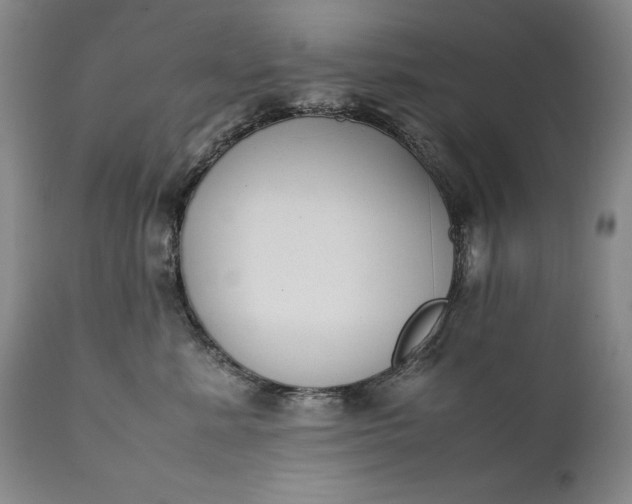 X0000111430619200907271106