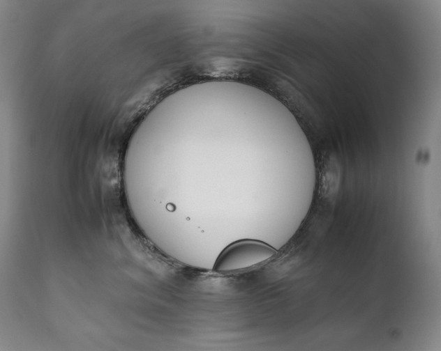 X0000111430620200907271106