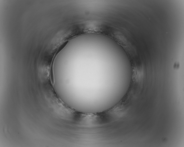 X0000111430621200907271106