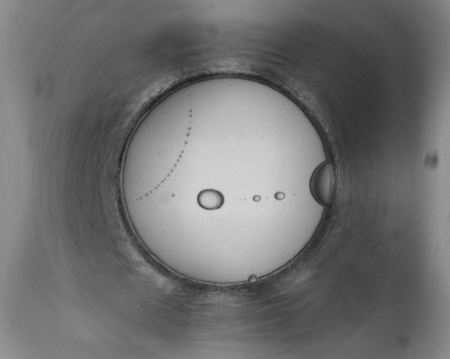 X0000111430625200907271106