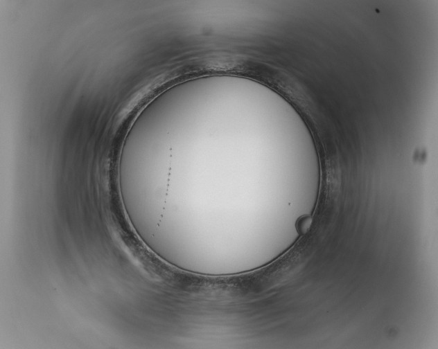 X0000111430626200907271106