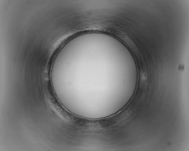 X0000111430628200907271106