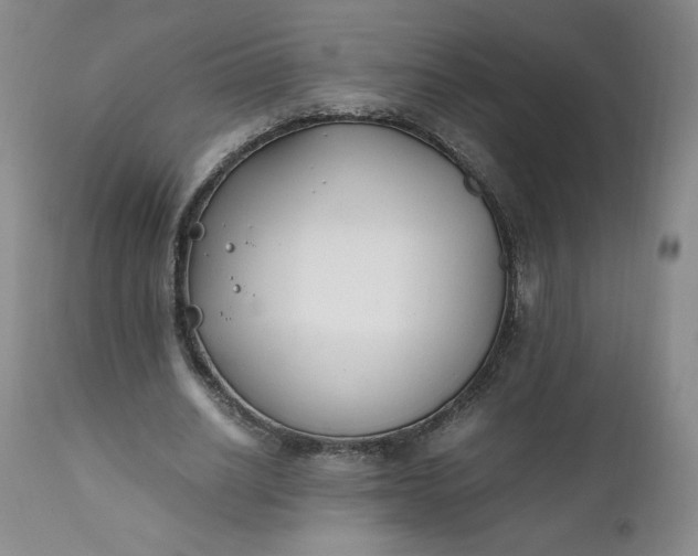 X0000111430630200907271106