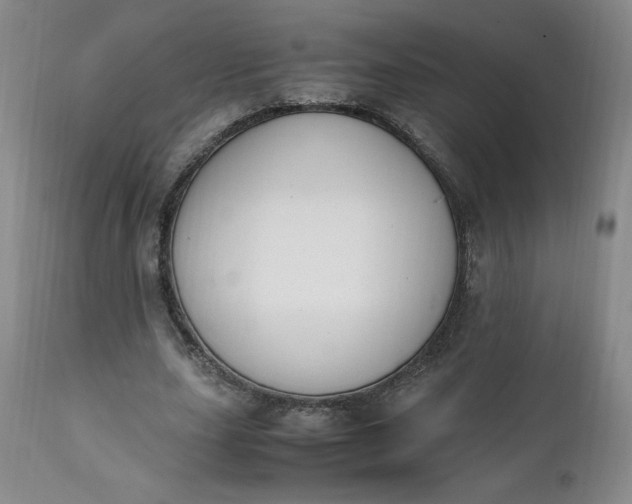 X0000111430631200907271106