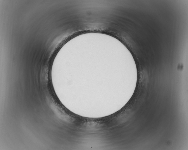 X0000111430632200907271106