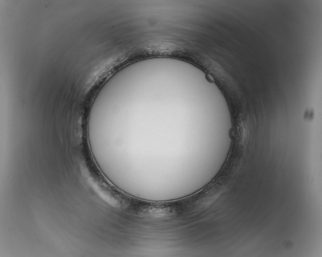 X0000111430638200907271106