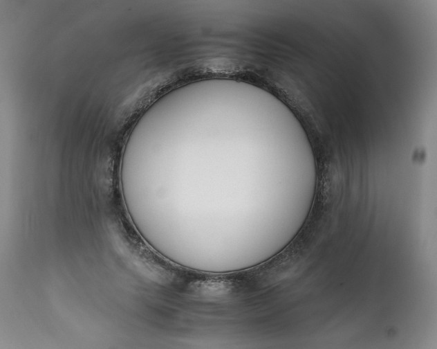 X0000111430639200907271106