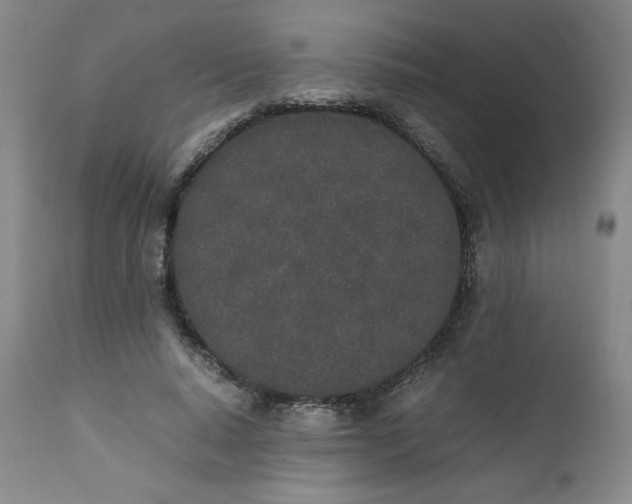 X0000111430640200907271106