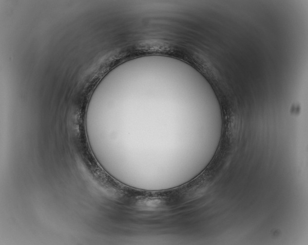 X0000111430643200907271106