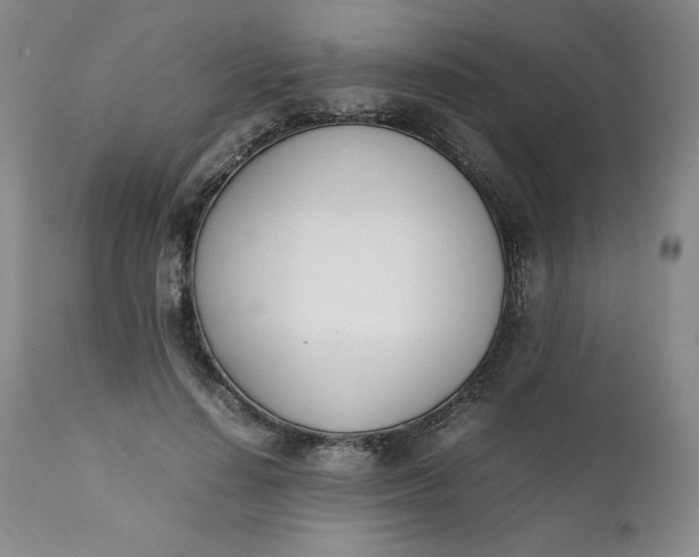 X0000111430644200907271106