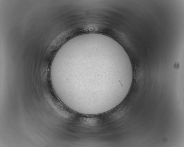 X0000111430645200907271106