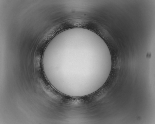 X0000111430646200907271106