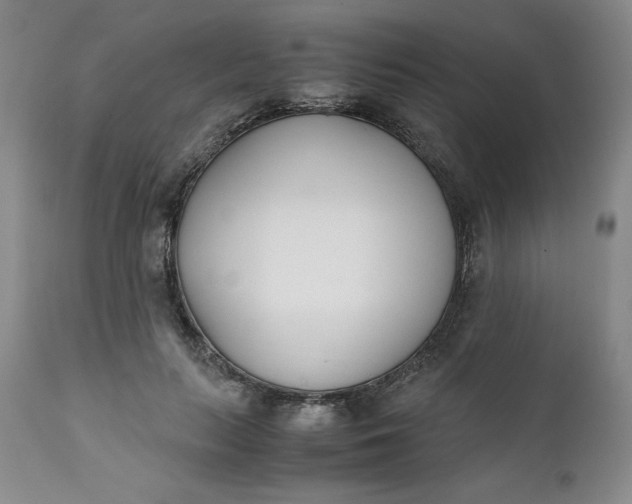 X0000111430647200907271106