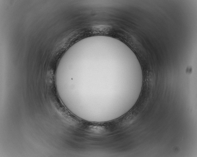 X0000111430649200907271106