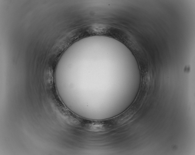 X0000111430651200907271106