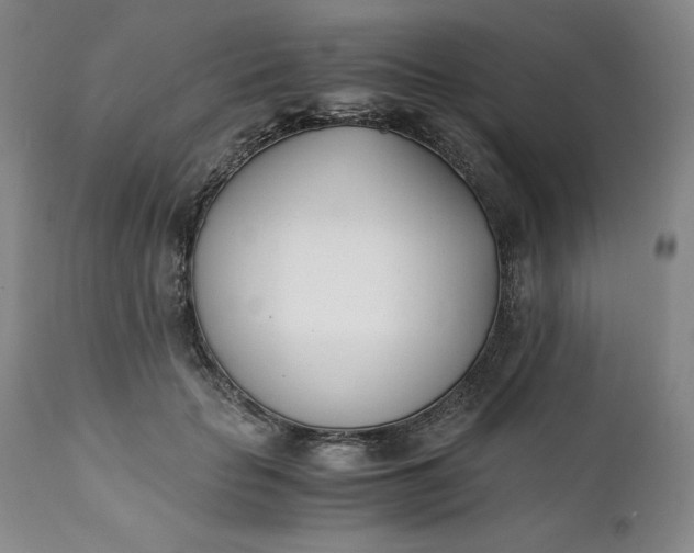 X0000111430653200907271106