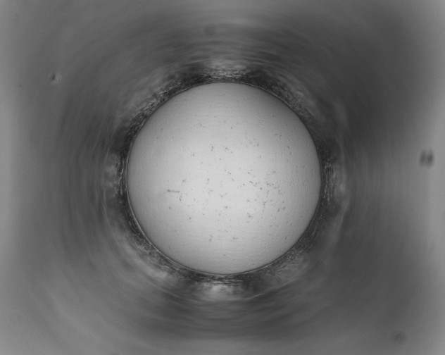 X0000111430655200907271106