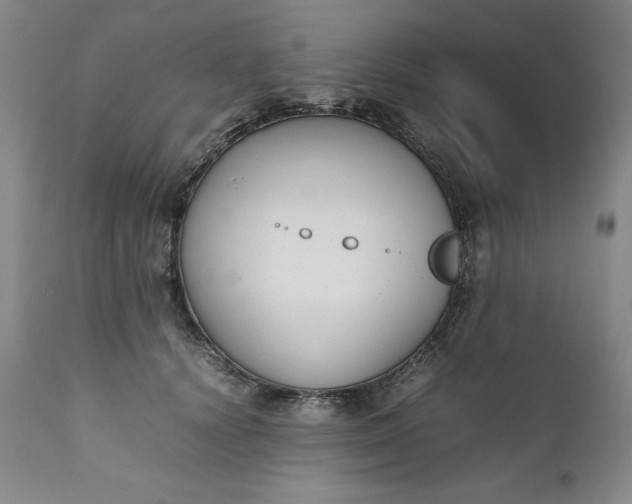 X0000111430656200907271106