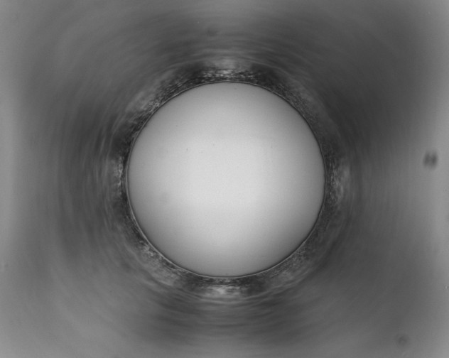 X0000111430657200907271106