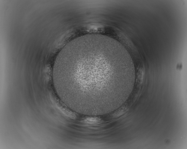 X0000111430659200907271106