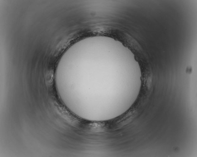 X0000111430660200907271106