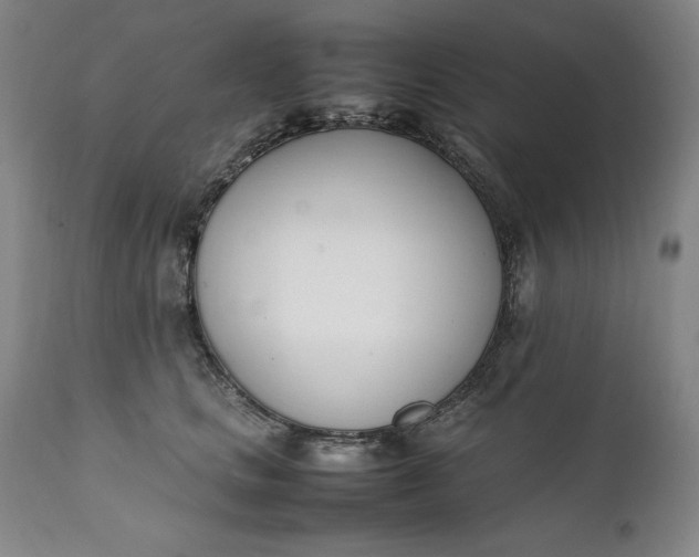 X0000111430661200907271106