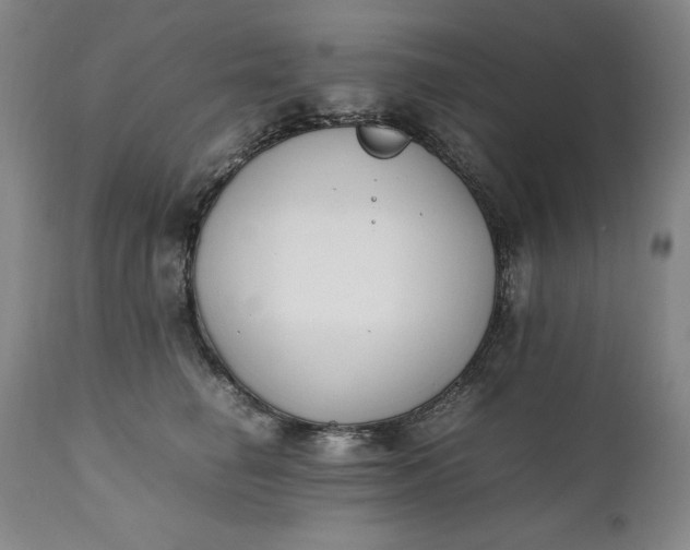 X0000111430662200907271106