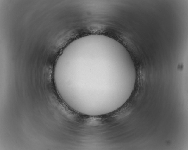 X0000111430664200907271106