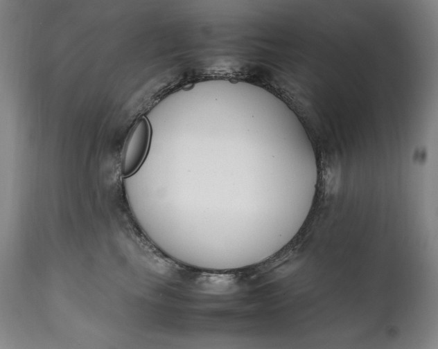 X0000111430665200907271106