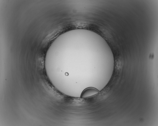 X0000111430666200907271106