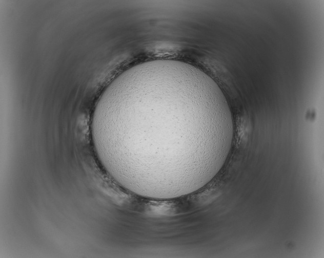 X0000111430667200907271106