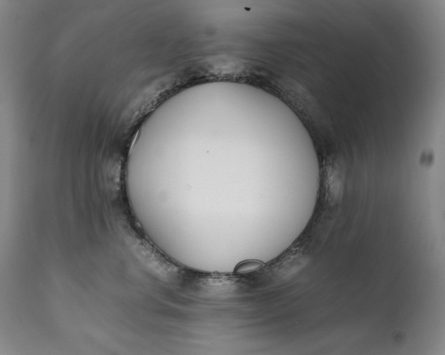 X0000111430668200907271106