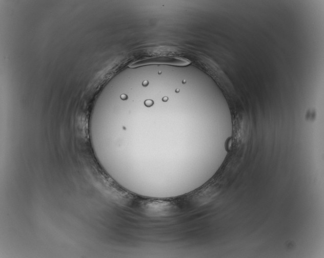 X0000111430669200907271106