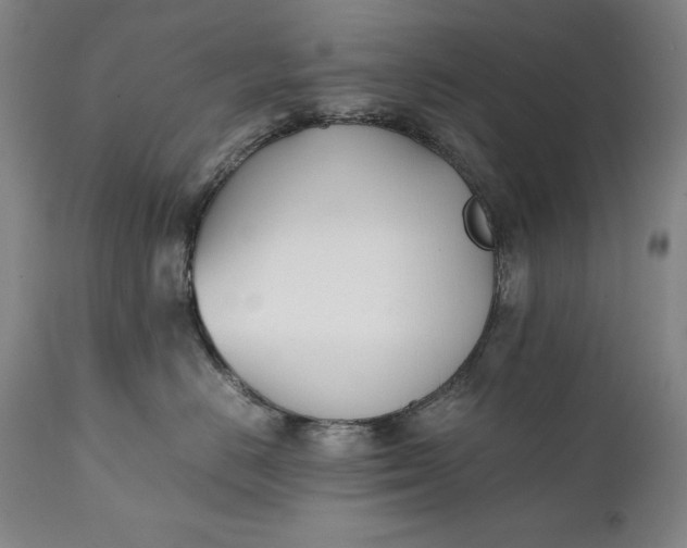 X0000111430670200907271106