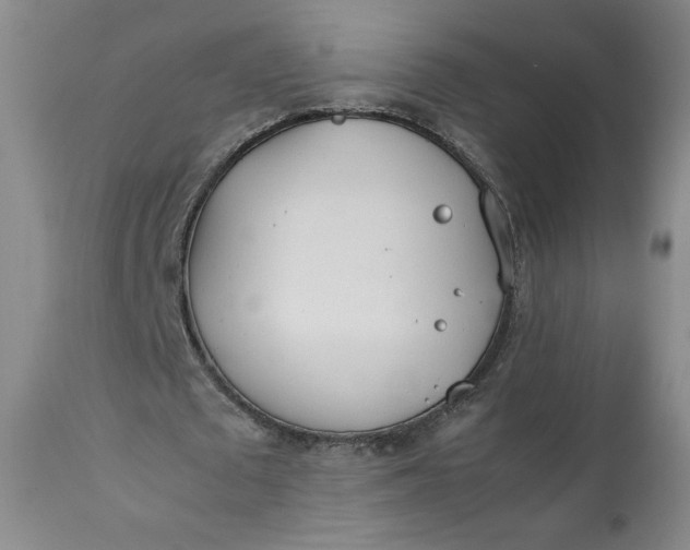 X0000111430673200907271106