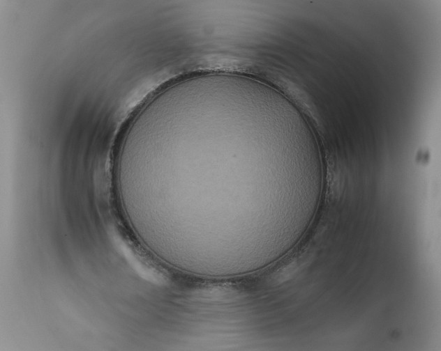 X0000111430674200907271106