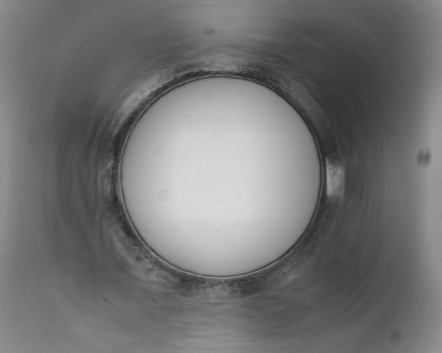 X0000111430675200907271106