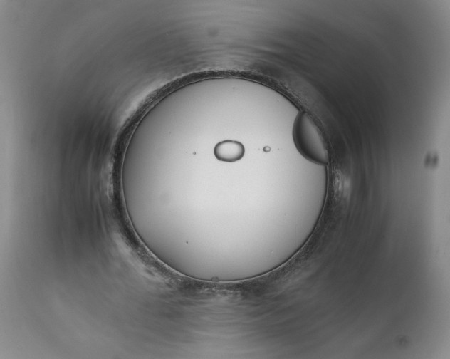 X0000111430676200907271106