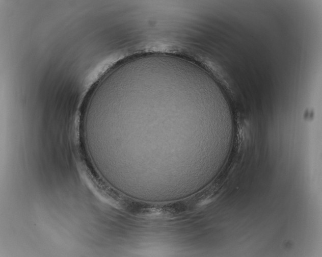 X0000111430678200907271106