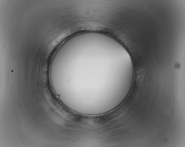 X0000111430679200907271106