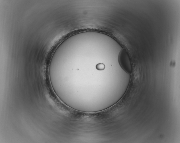 X0000111430680200907271105