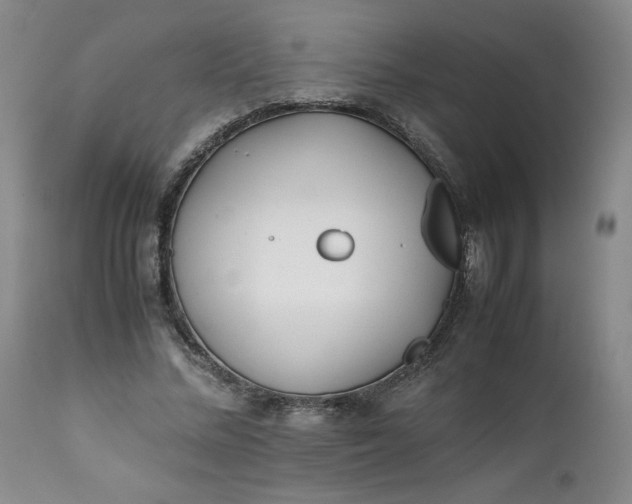 X0000111430684200907271105