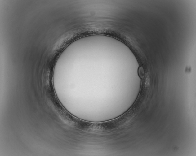 X0000111430685200907271105