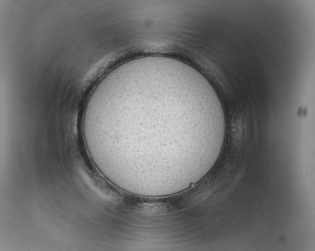 X0000111430686200907271105