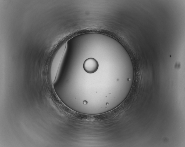 X0000111430688200907271105