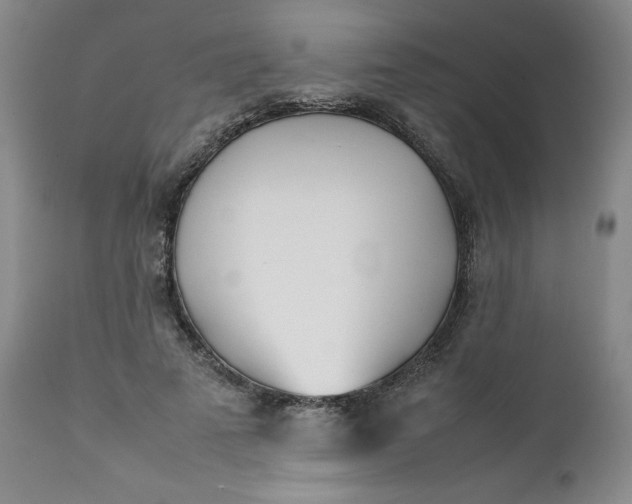 X0000111430689200907271105