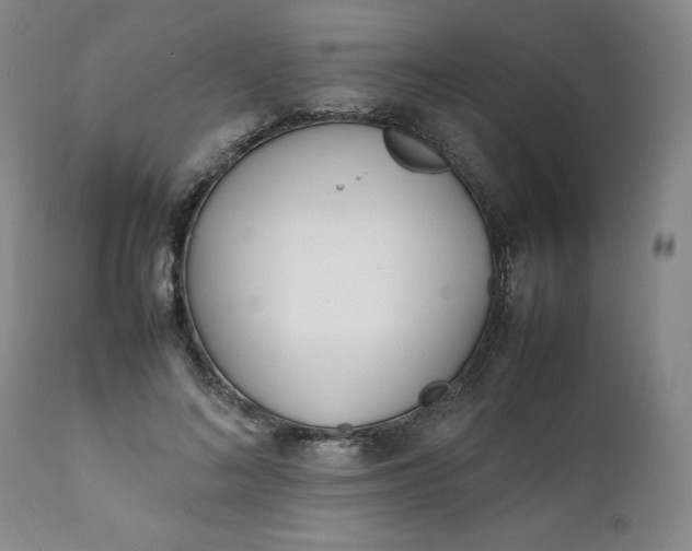 X0000111430692200907271105